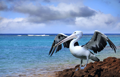 Similar image 1719628