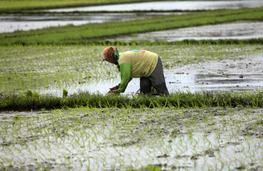 Similar image 1719632