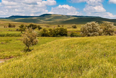 Similar image 1719642