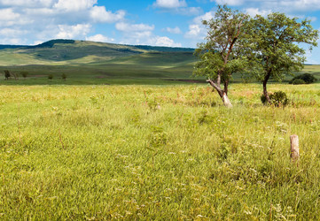 Similar image 1719644