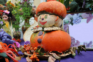 Similar image 1719728