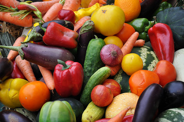 Similar image 1719729