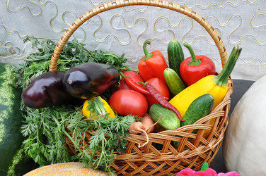 Similar image 1719736