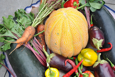 Similar image 1719739