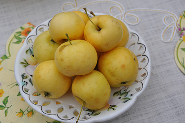 Similar image 1719741