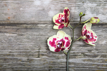 Similar image 1719797