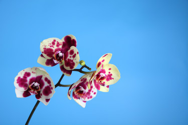 Similar image 1719799