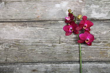 Similar image 1719800