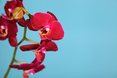 Similar image 1719801