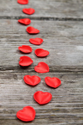 Similar image 1719816