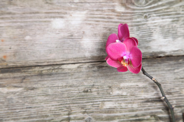 Similar image 1719822