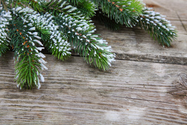 Similar image 1719825