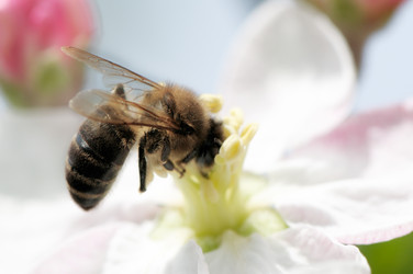 Similar image 1719888