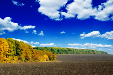 Similar image 1719912