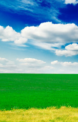 Similar image 1719916