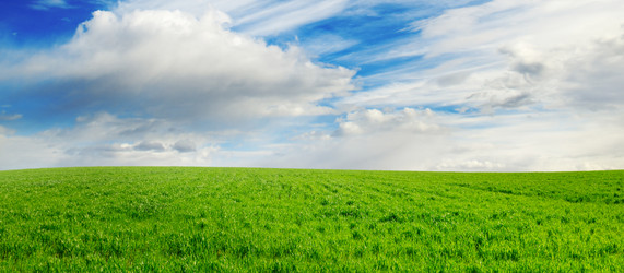 Similar image 1719917