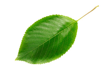 Similar image 1719942