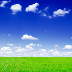 Similar image 1719948