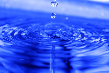 Similar image 1719955