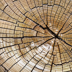 Similar image 1719964