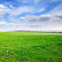 Similar image 1719967