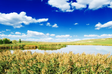 Similar image 1719982