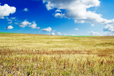 Similar image 1719997