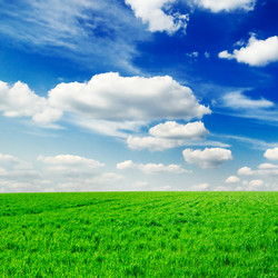 Similar image 1720005