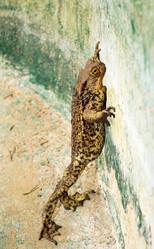 Similar image 1720399