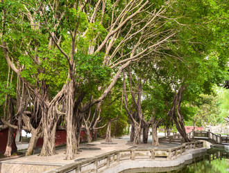 Similar image 1720425