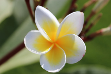 Similar image 1720443