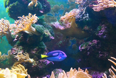 Similar image 1720455