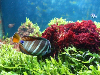 Similar image 1720456