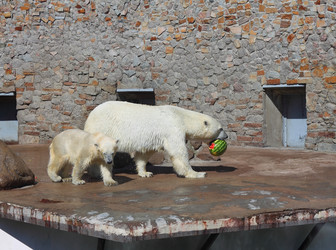 Similar image 1720457