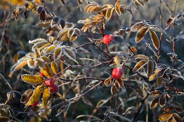 Similar image 1720497