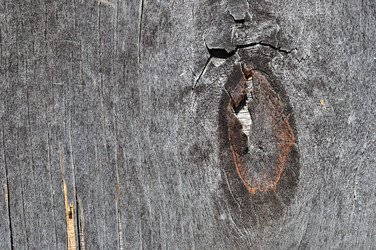 Similar image 1720606