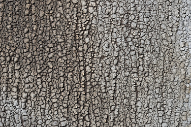 Similar image 1720607