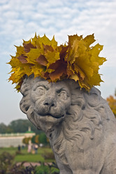 Similar image 1720830