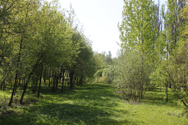 Similar image 1720867