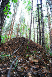 Similar image 1720884