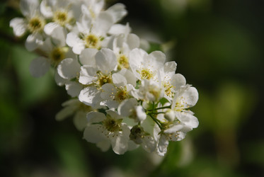 Similar image 1720888