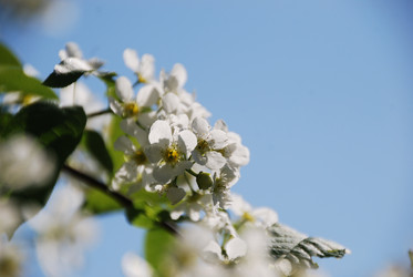 Similar image 1720890