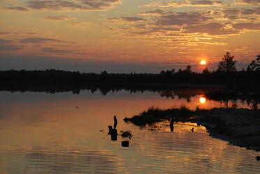 Similar image 1720891