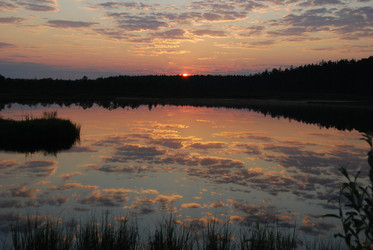 Similar image 1720892