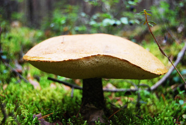 Similar image 1720894