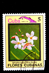 Similar image 1720900