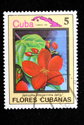 Similar image 1720901