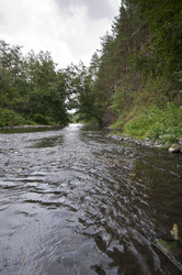 Similar image 1721003