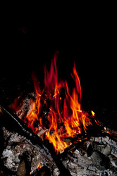 Similar image 1721004