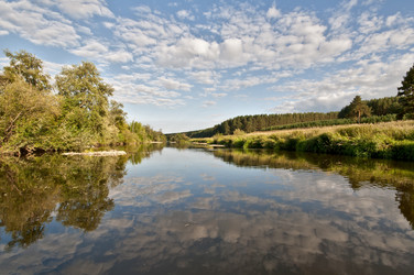 Similar image 1721005